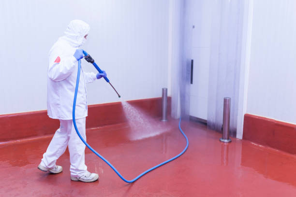 Best Rust and Stain Removal in Lone Star, TX